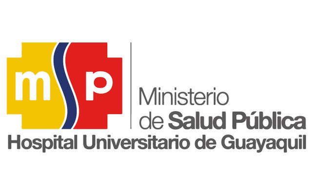 Hospital de Guayaquil — proyecto NETTO